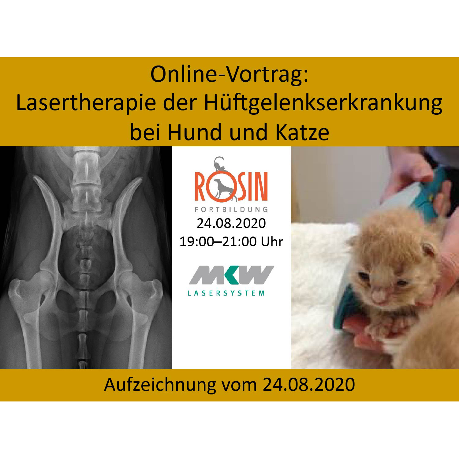 Aufzeichnung vom 24.08.2020 Lasertherapie der Hüftgelenkserkrankung