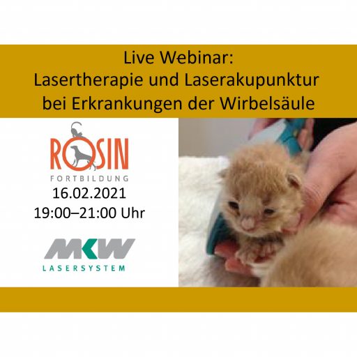 Lasertherapie-Webinar MKW_1